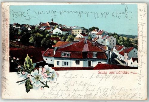 Landau 1900 Blühender Zweig