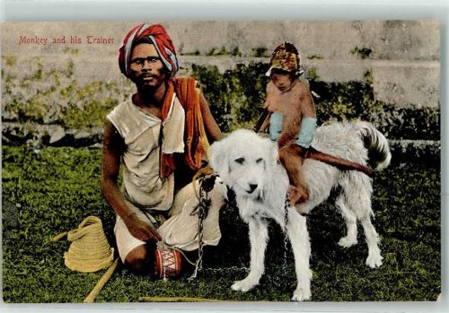 Der Affe Walla reitet auf einem Hund