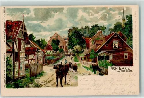 Schierke 1903 Kühe sign. C. Münch