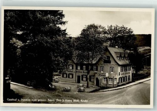 Alpirsbach Gasthaus zum grünen Baum