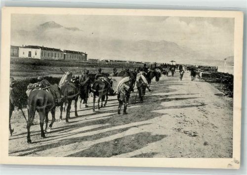 Shkodra 1916 WK I Gebirgsartillerie