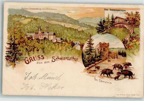 Schwarzburg 1898 Schloss Schwarzburg vom Helenensitz das Schweizerhaus am Eberstein Wildschwein