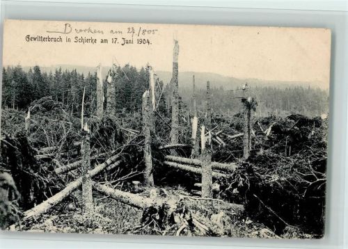 Schierke Gewitterbruch 1904 - gute Erhaltung AK