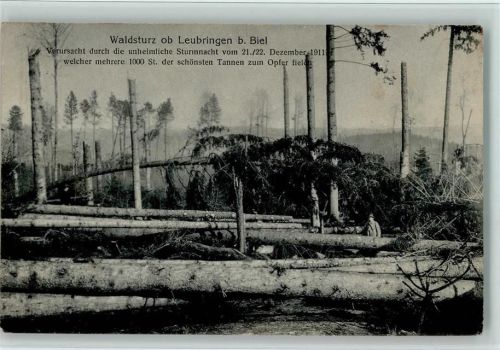Leubringen 1912 Sturm - Waldsturz ob Leubringen b. Biel 1911 AK