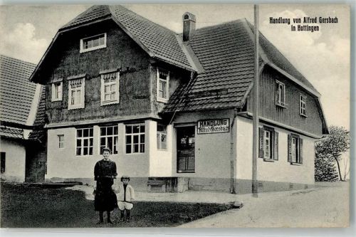Hottingen Handlung von Alfred Gersbach