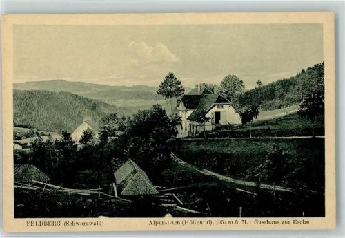Hinterzarten Gasthaus zur Esche