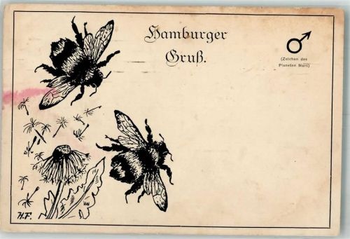1919 Hamburger Gruß Hummel Hummel