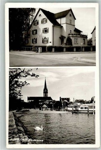 Radolfzell Schwan