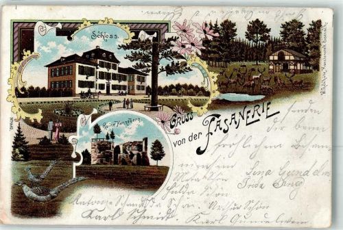 Henneberg 1900 Schloss Ruine Fasanerie Jagdtiere