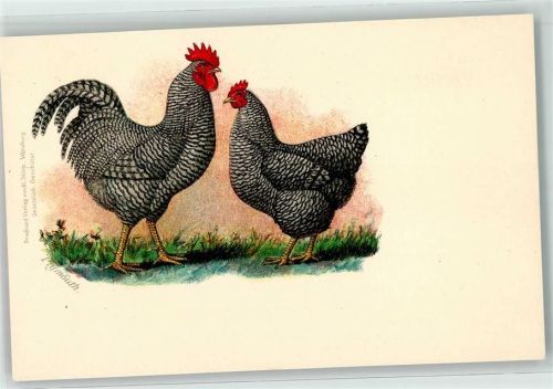 1900 Plymouth Verlag H. Stürtz Würzburg