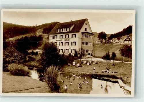 Enzklösterle Gasthaus zum Hirsch Badeteich Badewiese