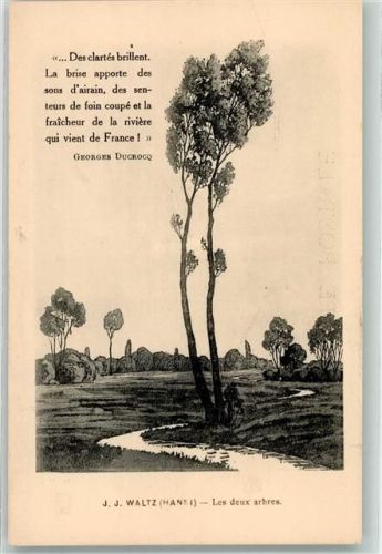 Les deux arbres Nr 12
