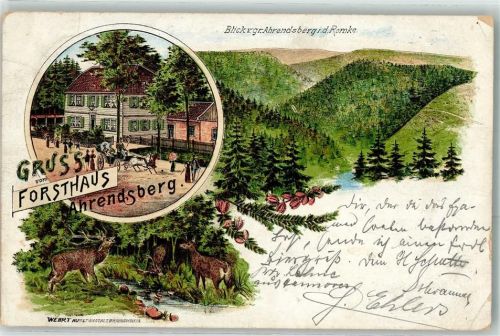 38707 W3396 Schulenberg im Oberharz 1899 Lithographie Forsthaus Ahrendsberg Hirsch