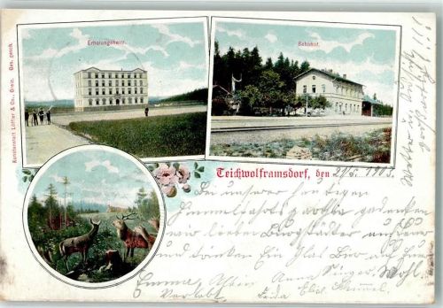 Teichwolframsdorf 1903 Hirsch Hirschkuh Erholungsheim Bahnhof Bahnost Werdau-Seeling
