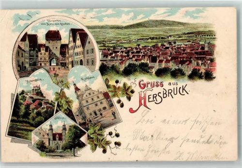 91217 W8562 Hersbruck 1899 Lithographie Stadttor Höhenstein Schloß Rathaus