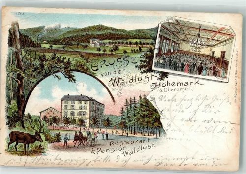 Oberursel 1901 Gasthaus Waldlust Ballsaal Hirsch