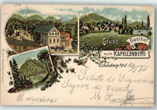 08648 O9932 Schönberg b Adorf, Vogtl 1898 Lithographie Kapellenberg Gasthaus