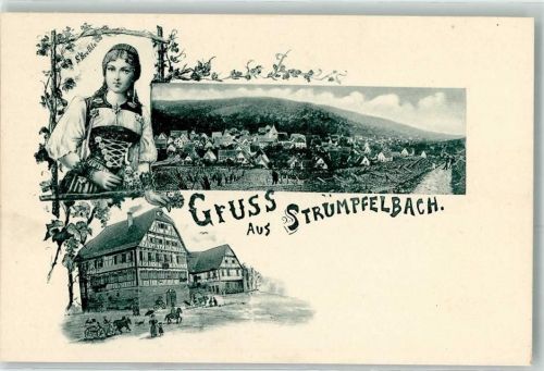 Strümpfelbach 1902 Tracht sign. S. Grethle