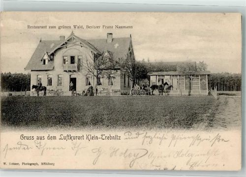 Kleintrebnitz 1905 Gasthaus zum grünen Wald Reiter Kutsche