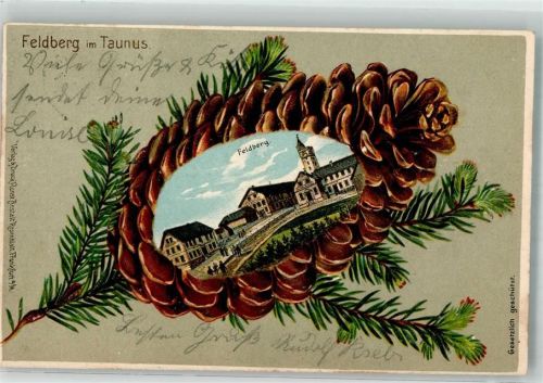 Feldberg 1903 Passepartout Tannenzapfen Hotel-Gasthaus Feldberghaus Aussichtsturm