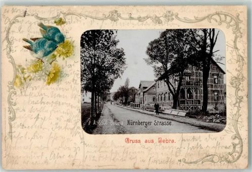 Bebra 1902 Nürnberger Straße Singvögel