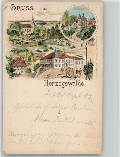 Herzogswalde 1897 Schloß Gasthaus Lithographie