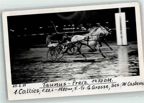 Taunus Preis 1954