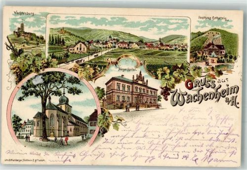 Wachenheim 1907 Bürgerspital Wachtenburg Forsthaus Rothsteg