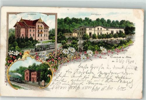 Lüben 1900 Lithographie Vorderheide Logierhaus Haidenhaus Bahnhof Bahnpost Frankfurt-
