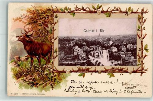 Colmar 1902 Hirsch