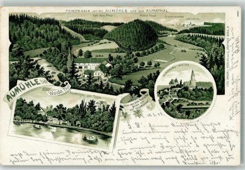 Weida 1901 Gasthaus Aumühle Teich Osterburg Carl-Alex-Platz Hohes Haus Eisenhammer Gasthausstempel