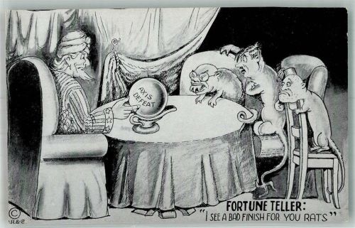 1943 Karikatur Fortune Teller, I see a bad finish for you Rats , Slam the Axis Post Card