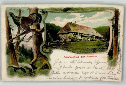 Schluchsee 1910 Gasthaus Auerhahn Schwarzwaldhaus Auerhahn