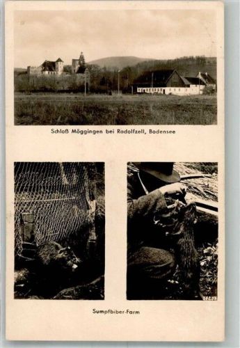 Radolfzell Schloss Möggingen Sumpfbiber-Farm