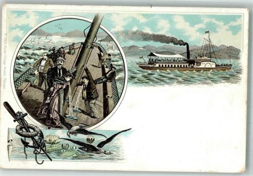 1899 Raddampfer Seekrankheit Möwen Seerosen
