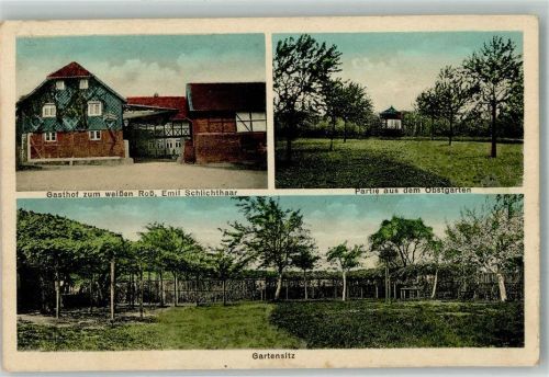 Groß Dahlum 1927 Gasthaus zum weißen Roß Obstgarten