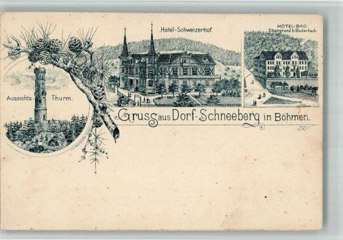 Decinsky Sneznik Hotel Schweizerhof Hotel- Bad Aussichtstrum Vorläufer Lithographie