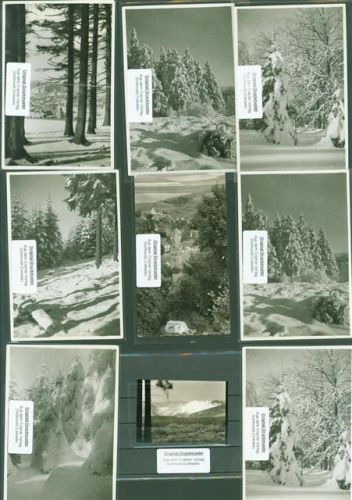 Siedlinghausen Lot mit AK 10 Fotos Original aus Archiv eines Ansichtskartenverlags versch. Grössen