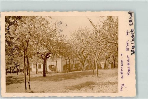 Velbert Baumblüte Ort handschriftlich