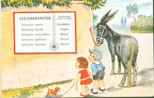 Eselsbarometer applikation Echter eingeklebter Bindfaden Kinder Spielzeug Nachziehhund