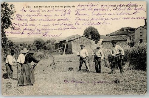 1906 dreschen vom Weizen