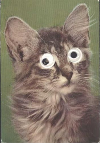Katze Augen aus Plastik