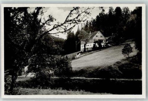 Hinterlangenbach Gasthaus Pension zum Auerhahn Foto AK