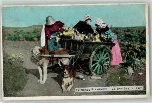 1915 Latieres Flamande