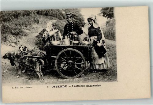 Ostende 1905 Nr. 8 Laitieres flamandes Polizei Kontrolle AK