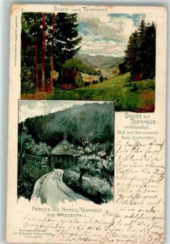 Todtmoos 1899 Lithographie Hinter-Todtmoos u. Wasserfall