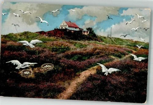 Borkum 1911 Vogelkolonie Gasthaus