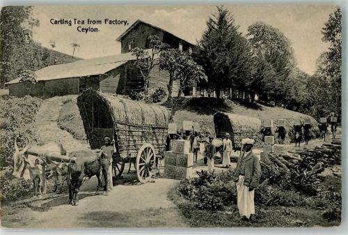 Colombo 1927 Tracht Fabrik Tea factory