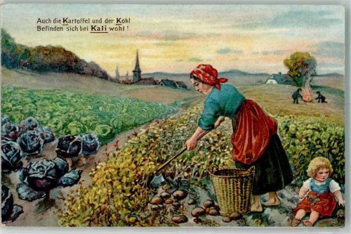 1915 Bäuerin bei der Feldarbeit auf dem mit Kali gedüngten Kohl- und Kartoffelfeld Kalisyndikat G.m.b.H.