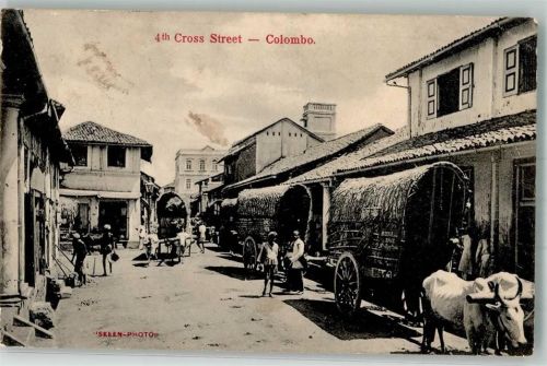 Colombo 1913 Cross Street